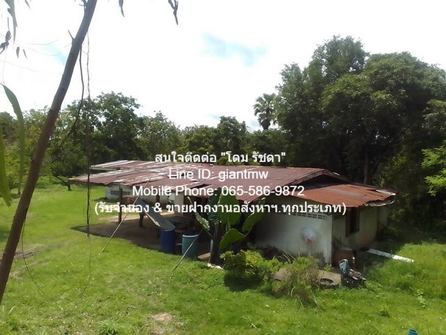 DSL-451 ขายด่วน ที่ดิน ขายที่ดินสวนผลไม้ปลอดสารพิษ (Organic) อ.ประจันตคาม จ.ปราจีนบุรี 57-0-90.4 ไร่, ราคา 57 ล้านบาท  57000000 B. ไม่ไกลจาก ห่างทางหลวงหมายเลข 3649 (ถนนสุวรรณศร) ประมาณ 5 กม. ราคาคุ้มสุด