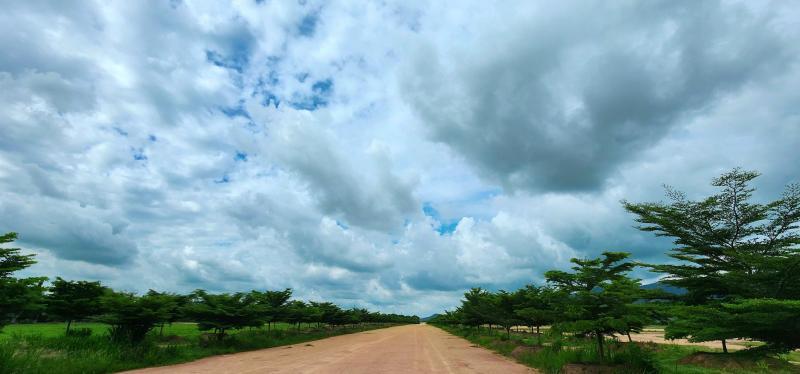 ขายที่ดินบ้านบึงชลบุรี ผังสีเหลือง จำนวนที่ดิน​   280 ไร่ มีทั้งหมด 3 เเปลง