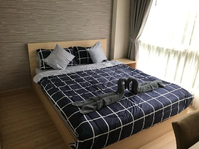 เดอะวิงเพลส คอนโด สวนดอก ขายพร้อมผู้เช่า ใกล้ม.เชียงใหม่