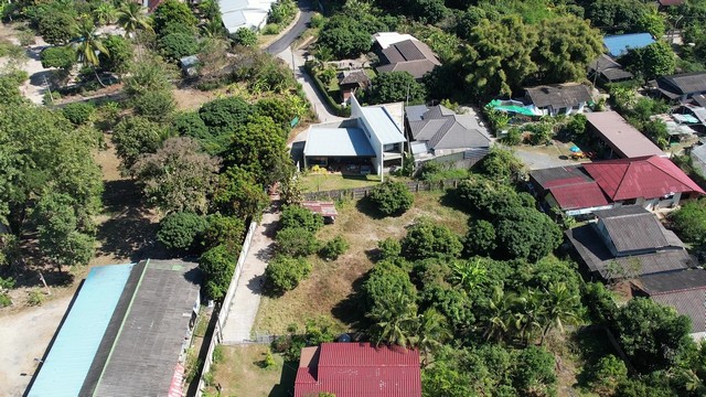 ขายที่ดิน บรรยากาศเงียบสงบ เดินทางสะดวก ใกล้ค่ายตากสิน อ.แม่ริม เชียงใหม่