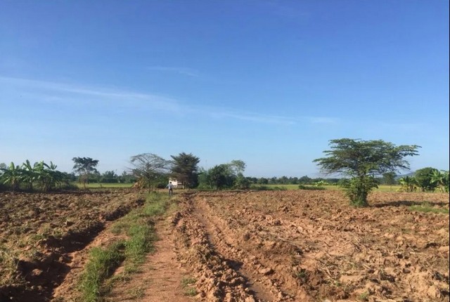 ขายที่ดินติดถนนสายเอเซีย  13,976 ตารางเมตร ราคาถูกต่อรองได้ ชัยนาท