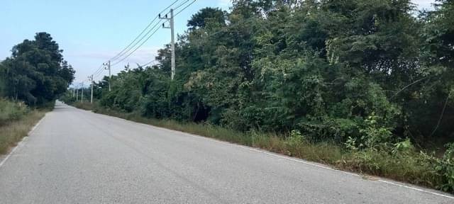 บ้านที่ดินทำเลดีที่ตั้งเยี่ยม ขายที่สวยติดทางหลวง1107 บ้านตาก จ.ตาก คมนาคมสะดวก ไร่ละ 300000 ต.ตากตก อ.บ้านตาก  จ.ตาก  0837124115