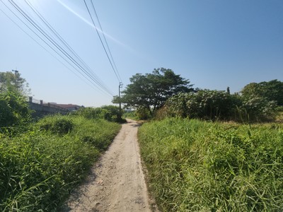 ไม่ควรพลาด ที่ดินตารางวาละ 50,000 บาท โซนบางนามีอยู่จริง  ที่ดินแปลงใหญ่ ซอย ลาซาล 48  ( สุขุมวิท 105 )  ขนาด 5-2-28  ไร่  ผังเมืองสีส้ม