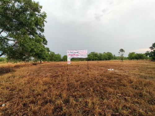 2501ACL2132 ขายที่ดินรวม  4-0-53.9 ไร่ (2 แปลงติดกัน) หน้ากว้าง 145 เมตร ลึก 82 เมตร เหมาะสำหรับสร้างที่อยู่อาศัย หรือทำการเกษตร เศรษฐกิจพอเพียง2501ACL2132 Land for sale, total area 4-0-53.9 rai (2 adjacent plots), width 145 meters, depth 82 meters, suitable for building a house or farming, self-sufficient economy.ที่ตั้งทรัพย์:    ต.เหล่าเสือโก้ก อ.เหล่าเสือโก้ก จ.อุบลราชธานี 34000 Property Location: T.Lao SueaKok  A.LaoSueaKok UbonRatchathani 34000 ทิศ หน้าที่ดินอยู่ทางทิศตะวันตกเฉียงเหนือ In front of the land facing northwestลิงค์ทรัพย์/Property link:  https://linevoom.line.me/p