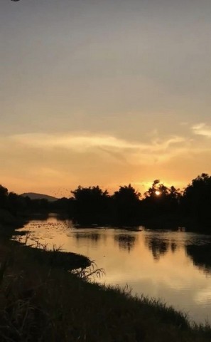 ขายที่ดินพร้อมสิ่งปลูกสร้างที่ดินถมแล้วมีแหล่งน้ำ-ขุดสระมีน้ำประปา ชัยนาท