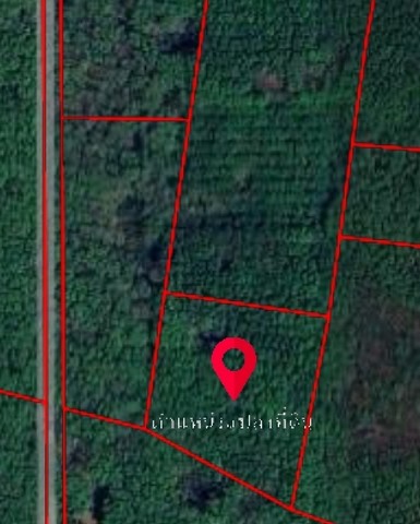 ขายด่วน ที่ดินสวยย่านทำเลทอง 5 ไร่ 90 ตร.วา เป็นที่ดินที่อยู่ในทำเลทอง ย่านเศรษฐกิจ