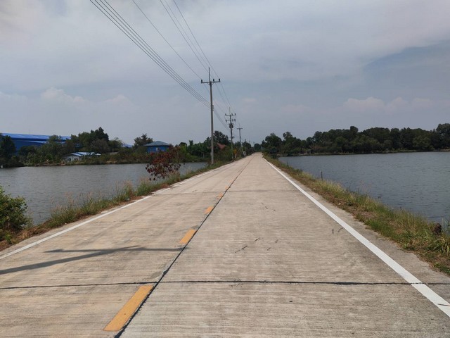 ขายที่ดิน 2 ไร่  ตำบลพันท้ายนรสิงห์ อำเภอเมืองสมุทรสาคร สมุทรสาครขนาดที่ดิน  : 2 ไร่ ที่ตั้ง : ตำบลพันท้ายนรสิงห์ อำเภอเมืองสมุทรสาคร สมุทรสาครรายละเอียดที่ดิน 2 ไร่ ใกล้ถนนเทียนทะเล และถนนแสมดำ ติดถนนคอนกรีตสาธารณะ รถใหญ่เข้าออกสะดวก ด้านหลังติดคลองแสมดำ ไฟฟ้า 3 เฟส เข้าออกได้หลายทาง ทั้งจาก ถนนเทียนทะเล (เข้าทาง หมู่บ้านพฤกษา เทียนทะเล ซอย 32 ) ถนนแสมดำ และ พั