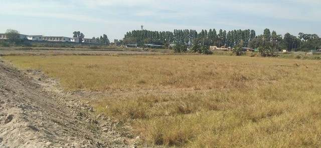 ขายที่ดินอมตะนครเฟส10 พานทองชลบุรี บนเนื้อ​ที่​ 14​ ไร่​ และ​ 6​  ไร่ ผังม่วงลาย