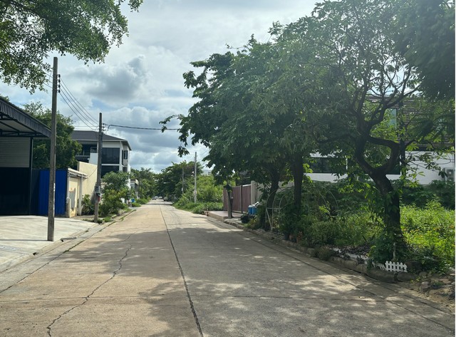 ขายที่ดินพัฒนาการ ขนาด 62 ตารางวา  ถมแล้ว ทำเลดี เหมาะสร้างบ้าน สำนักงาน 