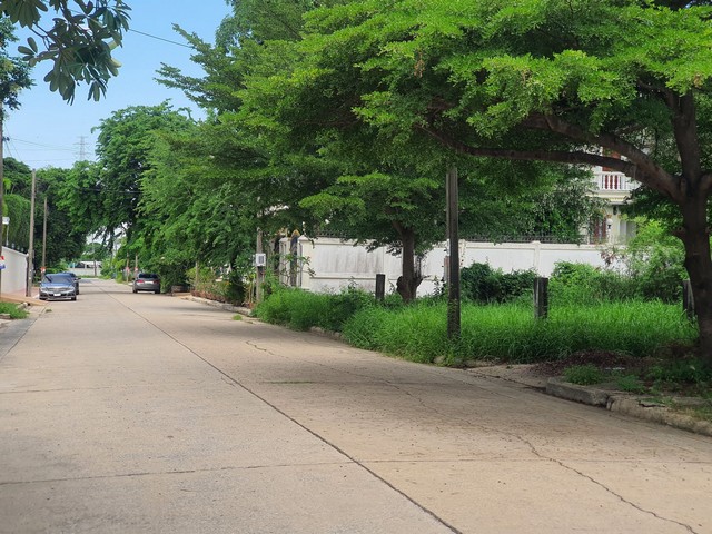 ขายที่ดินพัฒนาการ ขนาด 62 ตารางวา  ถมแล้ว ทำเลดี เหมาะสร้างบ้าน สำนักงาน