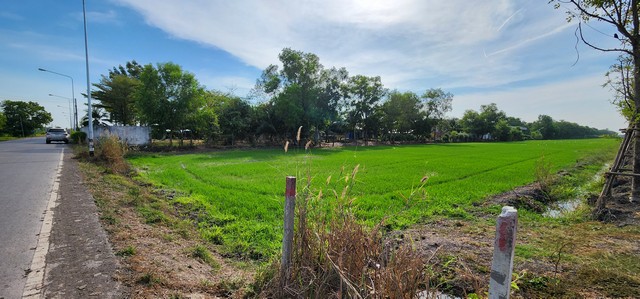 ขายที่ดินติดถนนลาดยาง องค์รักษ์ คลอง 16 นครนายก ทำเลค้า เหมาะปลูกบ้าน ทำการเกษตร เหมาะอยู่ยามเกษียณ อยู่ใกล้แหล่งชุมชน