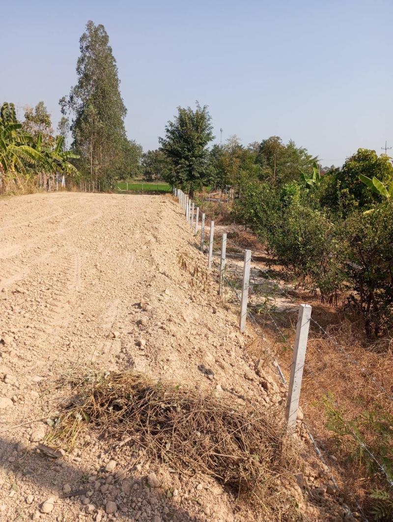 ขายที่ดิน 200 ตารางวา เจ้าของขายเอง สุพรรณบุรีที่ตั้ง :  ตำบลหนองหญ้าไซ อำเภอหนองหญ้าไซ สุพรรณบุรี 7210https://maps.app.goo.gl/DyckgQy1P2pNmDRJ8?g_st=ilขนาดเนื้อที่  : 200 ตารางวารายละเอียดติดถนนลาดยาง มีสระน้ำท้ายแปลง โฉนดครุฑแดงพร้อมโอน น้ำประปา-ไฟฟ้าหน้าแปลง สถานที่ใกล้เคียง-ปั้มน้ำมันทรัพย์ประเชิญรุ่งเรือง-เขียวหวาน โบราณแท้ Food truck-โรงเรียนบ้านหนองสำโรง-พุทธสถาน หนองสำโรงราคา 349,000 บาทสอบถาม