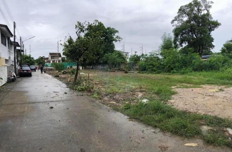 ขายตรว.ละ 22,000 บาท 59 ตรว. #สันทราย #แบ่งแปลงแล้ว #เงินเหลือก่อสร้างได้ #เหมาะสำหรับสร้างบ้าน #สร้างหอพัก ใกล้เมือง เดินทางสะดวกสบาย