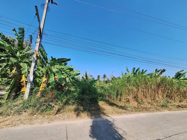 ขายที่ดินแปลงสวย   6-0-14 ไร่ แปลงหัวมุม ติดถนน 2  ด้าน ใกล้แหล่งชุมชน ห้วยมงคล หัวหิน ประจวบคีรีขันธ์   ZW519