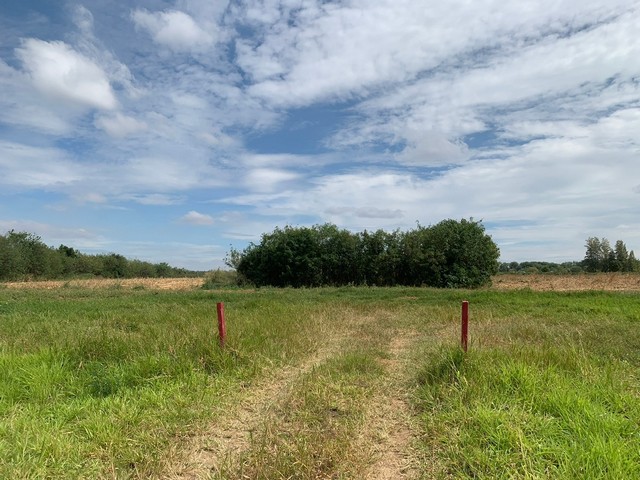 ขายที่ดินเปล่าขนาด 3 ไร่ ราคาถูก ใกล้เขาใหญ่ ใกล้วัดป่าอำนวยผล เหมาะปลูกบ้าน ทำสวนเกษตร อยู่ในชุมชน ไม่เปลี่ยว ขนงพระ ปากช่อง นครราชสีมา