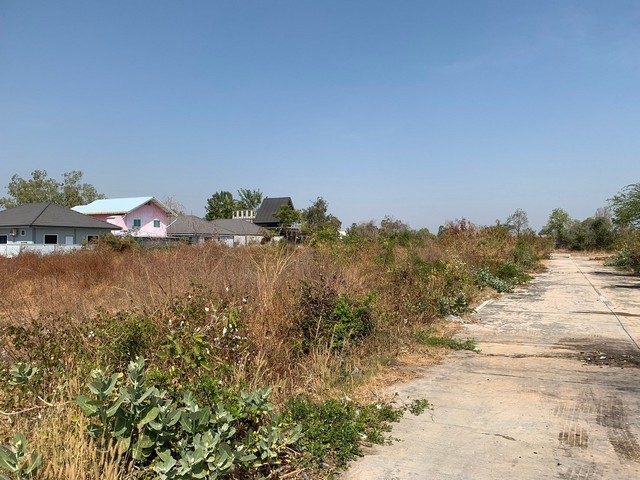 ให้เช่าที่ดินเปล่าขนาด 3.5 ไร่ แบ่งแปลงเล็ก 1ไร่ ราคาถูก อยู่ใกล้ชุมชน เหมาะทำโกดัง คลังสินค้าขนาดเล็ก ออฟฟิศ นาป่า เมืองชลบุรี