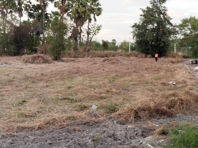 ให้เช่าที่ดินเปล่าใกล้ถนนคู่ขนานมอเตอร์เวย์ ขนาด 2 ไร่ เส้นถนนคู่ขนานมอเตอร์เวย์ พิกัดนาป่า เหมาะทำโกดัง คลังสินค้าขนาดเล็ก โรงงานอุตสาหกรรมบางประเภท นาป่า เมืองชลบุรีโทร. 095-196-4242 (คุณจุ๊)Line ID : jll689FB page : https://www.facebook.com/ChulaluckHomeliving/รายละเอียด- ที่ดินขนาด 2 ไร่ (ที่ดิน 1.5 ไร่ บ่อน้ำ 1 บ่อ เนื้อที่ 0.5 ไร่)- หน้าที่ดินกว้าง 34 เมตร ลึก 88 เมตร- ถนนสาธารณะกว้าง 6 เมตร- ห่างถนนคู่ขนานมอเตอร์เวย