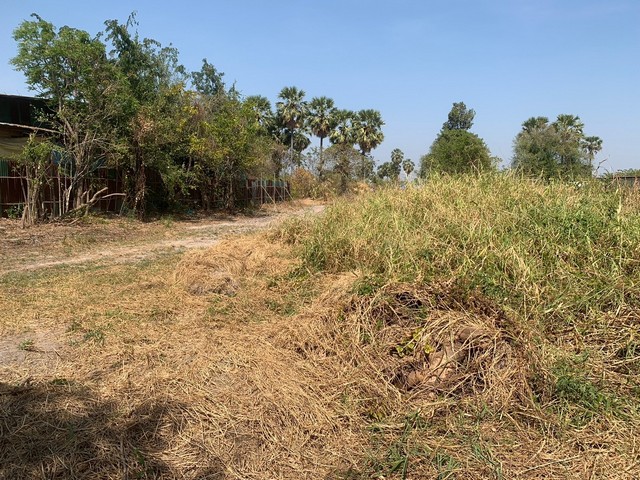 ให้เช่าที่ดินเปล่าขนาด 2ไร่ ใกล้ถนนคู่ขนานมอเตอร์เวย์ ผังสีส้มลายจุด ราคาถูก พิกัดนาป่า เหมาะทำโกดัง คลังสินค้าขนาดเล็ก นาป่า เมืองชลบุรี