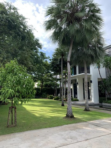 ขายบ้านเดี่ยว2ชั้นบ้านลดาวัลย์รัตนาธิเบศร์Ladawan Rattanathibetพร้อมสระว่ายน้ำ 400 ตร.ว. ติดMRTบางรักน้อยท่าอิฐ ติดถนนรัตนาธิเบศร์