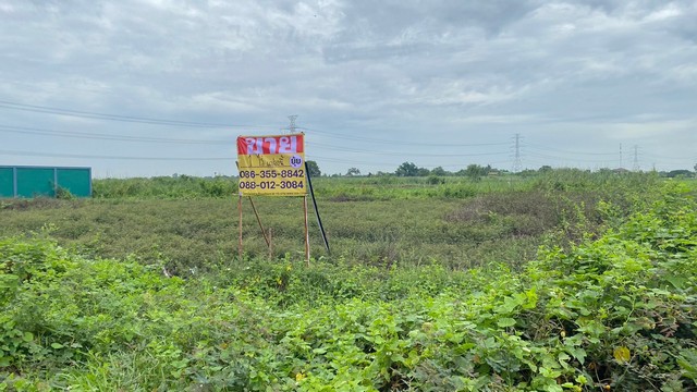 ขายที่ดิน 400 ตารางวา โครงการสำเภาทองแฟคเทอรี่  ถ.บางสะแกใต้  ลาดหลุมแก้ว  ปทุมธานี   ZT465 