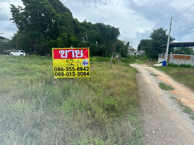 ขายที่ดินเปล่า 52 ตารางวา  ห้วยยายมุก ตำบลโป่ง  บางละมุง  ชลบุรี   ZT462 