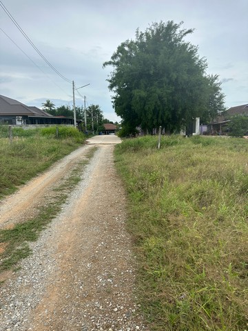 ขายที่ดินเปล่า 52 ตารางวา  ห้วยยายมุก ตำบลโป่ง  บางละมุง  ชลบุรี   ZT462