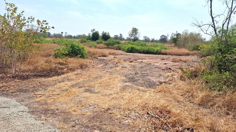 ที่ดินเปล่าแปลงใหญ่  70  ไร่ ต.หนองบัวตะเกียด ด่านขุนทด