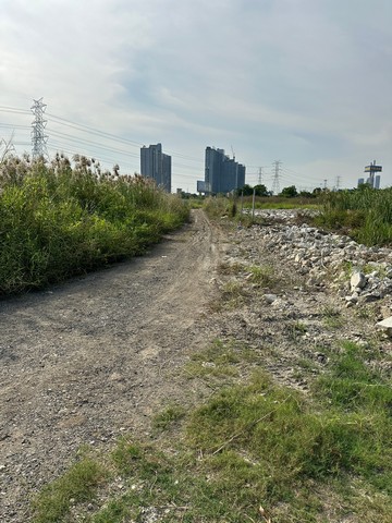 ขายที่ดินเปล่า 118 ตารางวา ใกล้เมกาบางนา บางพลี  สมุทรปราการ   ZT468 