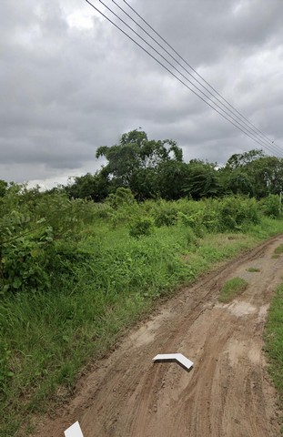 ขายที่ดินสวนลำไย 7-1-6 ไร่ 8.5ลบ. ถนน น้ำ ไฟฟ้า ต.เหมืองง่า อ.เมือง ลำพูน