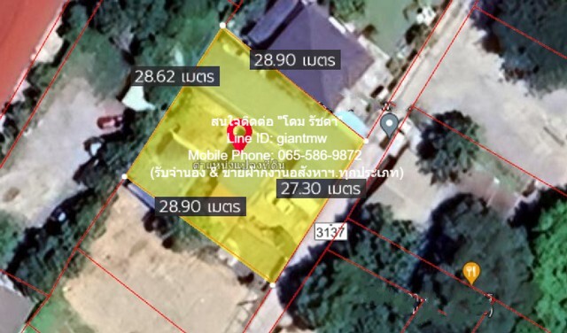 บ้าน ขายบ้าน และธุรกิจห้องพักรายเดือนให้เช่า 13 ห้อง พร้อมทิ่ดิน ถ.บางแสนสาย 2 ขนาด 200 ตารางวา 13 นอน ไม่ไกลจาก ห่างชายทะเลบางแสน เพียง 700 ม. เงียบสงบ ชลบุรี   