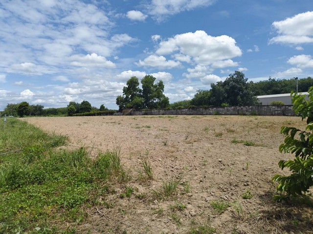 ขายที่ดิน นิคมพัฒนาซอย 9 อำเภอนิคมพัฒนา จังหวัดระยอง เนื้อที่ 3 ไร่