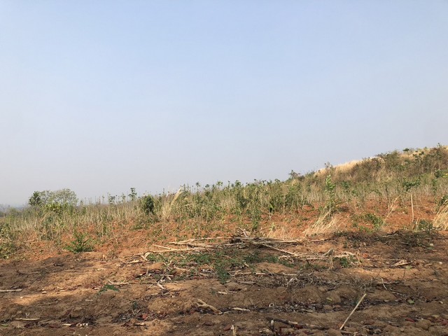 ขายที่ดิน ทำเลทอง ครุฑแดง แปลงละ200ตารางวามี2แปลง อำเภอสามพราน จังหวัดนครปฐม