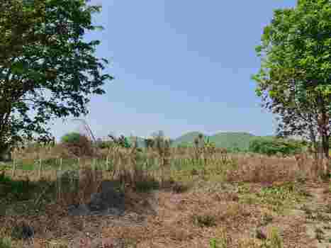 ขายที่ดิน หัวหิน ครุฑแดง วิวเขา ราคาต่ำกว่าตลาด ติดถนน3ด้าน จ.ประจวบคีรีขันธ์