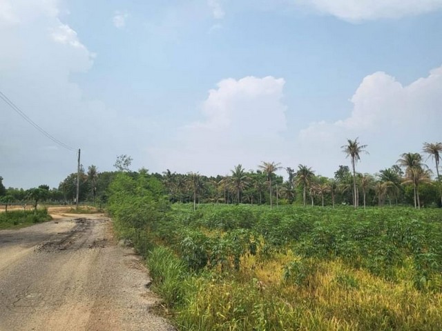 ขายที่ดินเปล่าศรีราชา ที่ดินผังสีม่วง พิกัด บึง หนองแขวะ TP-L0925