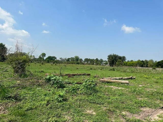 TEL : 092-288 9359 คุณดนิตาLine : https://line.me/ti/p/yxo92dHWP1รายละเอียด : ที่ดิน หนองยายบู่ ศรีราชา พื้นที่สีส้ม เนื้อที่ 43 ไร่ 3 งาน 51 ตารางวา(สามารถขยายที่เพิ่มได้ถึง 60 ไร่)เหมาะมากที่จะทำหมู่บ้านราคาไร่ละ 3 ล้านบาทต่อไรราคาถูกสุดในโซนนี้ที่ดินอยู่ติดกลับโครงการหมู่บ้าน เดอะทรีหนองยายบู่ แหละอีกหลายโครงการ - ที่ดินอยู่ห่างจากเจปาคศรีราชา 2 กม.- ที่ดินจากไทวัสดุ เพียง1 กม. - ที่กินอยู่ห่างจ