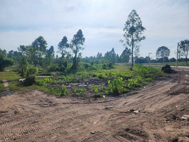 TEL : 092-288 9359 คุณดนิตาLine : https://line.me/ti/p/yxo92dHWP1รายละเอียด : เนื้อที่ดิน สีส้ม ขนาด  15 ไร่ โซนบึง ศรีราชา ไฟเข้าแล้วมีถนนคอนกรีตเสร็จเรียบร้อย ถนนกว้าง 6 เมตรใกล้วัดจุกกะเฌอ ใกล้ถนนเลียบมอเตอร์เวย์เหมาะกับสร้างหมู่บ้านหรือโกดัง ลานจอดรถ สิบล้อราคาขายยกแปลง 42,000,000 ลบF-A15 