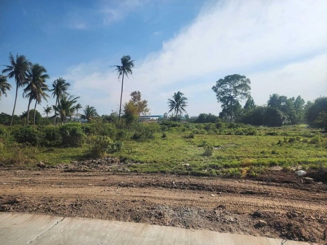 ขายที่ดินบึง ศรีราชา พื้นที่สีส้ม  ใกล้ถนนเลียบมอเตอร์เวย์ FP-L0141