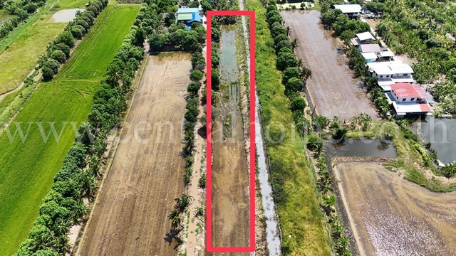 P2 ที่ดินเปล่า 1 ไร่ 2 งาน 76 ตารางวา ทวีวัฒนา ไทรน้อย