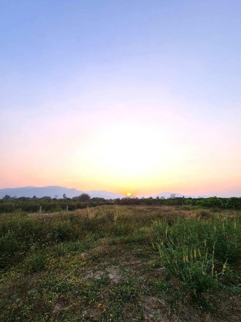 ขายที่ดินสวย #แบ่งแปลงแล้ว ขายตรว.ละ 5,500 บาท #เหมืองแก้ว #แม่ริม 1-2-81 ตรว. มองเห็น #วิวภูเขา สวย เข้าเมืองง่าย เดินทางสะดวก