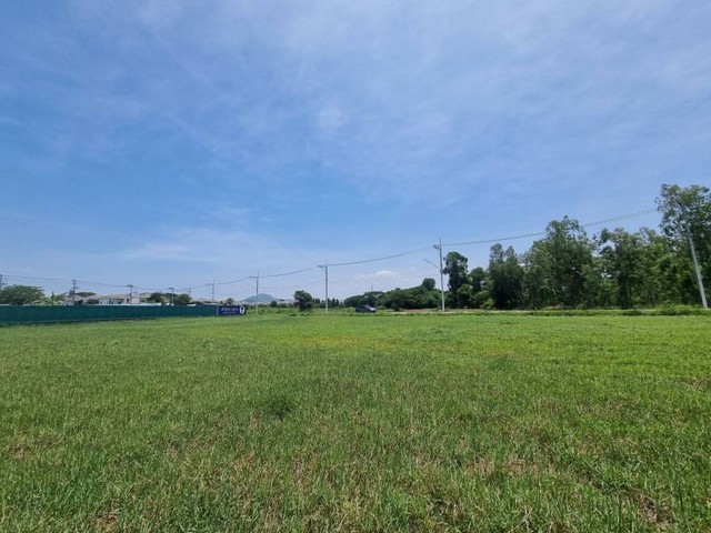 TEL : 092-288 9359 คุณดนิตาLine : https://line.me/ti/p/yxo92dHWP1ที่ดินใจกลางเมืองศรีราชา หนองขาม ศรีราชาผังเมืองสีส้มติดหมู่บ้าน golden home หนองยายบู่มีสิ่งอำนวยความสะดวกพร้อม ถนนหน้าที่ดินเป็นคอนกรีตแล้วราคาขายไร่ละ 6,500,000 บาทฟรีค่าธรรมเนียมโอนตามราคาประเมินกรณีซื้อนามบริษัทผู้ซื่อชำระค่าโอนเองเนื้อที่ขนาด 13-3-13 ไร่ถนนหน้าที่ดินกว้าง 6 เมตรที่ดินติดถนน 2 ด้านไฟฟ้า - ปะปา พร้อมดำเนินกิจการสถา