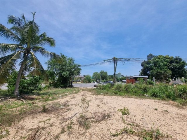 TEL : 092-288 9359 คุณดนิตาLine : https://line.me/ti/p/yxo92dHWP1ที่ดินสำหรับกิจการขนาดเล็ก บ่อยาง ศรีราชาผังเมืองสีม่วงลายเนื้อที่ขนาด 3-1-52 ไร่ถนนหน้าที่ดินกว้าง 6 เมตรหน้ากว้างติดถนน 50 เมตรความลึกที่ดิน 110 เมตรไฟฟ้า - ปะปา พร้อมดำเนินกิจการเดินทางสะดวก- ใกล้โกดังบริษัท daikin- ใกล้ท่าเรือแหลมฉบัง- ใกล้ถนนมอเตอร์เวย์หมายเลข 7- ใกล้นิคมเครือสหพัฒน์- ที่ดินไม่ต้องถม- ที่ดินพร้อมพัฒนาต่อ ราคาขาย 20,000,00