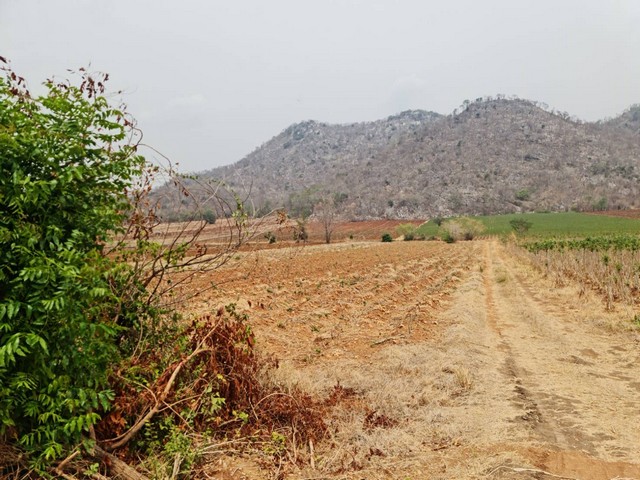 เน้นทรัพย์ดีราคาคุยกันได้  ที่ดินติดภูเขา ต.พระนอน อ.เมือง จ.นตรสวรรค์ วิวสวยมากๆๆ 5ไร่เศษ โทร 096-882-1857