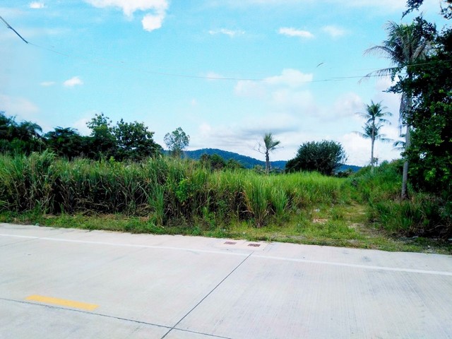 ขายที่ดินผังม่วงศรีราชาชลบุรี พื้นที่สีม่วงลาย   บนเนื้อที่  21 ไร่ ที่ดินมีไฟฟ้า3​ เฟส