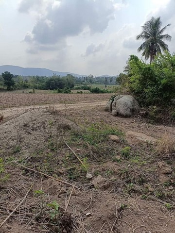 TEL : 092-288 9359 คุณดนิตาLine : https://line.me/ti/p/yxo92dHWP1รายละเอียด : ที่ดินขนาด 1000 ไร่เศษ หนองขาม ศรีราชา พื้นที่สีเหลือง  น้ำไฟพร้อม แบ่งเป็น zone โรงงาน400 ไร่ สร้างโรงงานบรรจุภัณฑ์ หรือโรงงานแพ็คกิ้งได้หลายโรงงานเลยครับสวนที่เหลือ600 ไร่ วิวสวยบรรยากาศดี เหมาะมากสร้างบ้านจัดสรร หลายแบบไลฟ์สไตล์สร้างบ้านหรูระดับ hi class อากาศดี๊ดี วิวเหมือนล้านถนนหน้ากว้าง 12 เมตร เข้าออกลายเส้นทางอยู่ไม