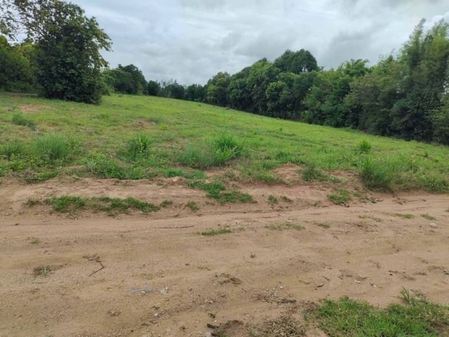 ขายที่ดินศรีราชา หนองขาม ศรีราชา ใกล้อ่างเก็บน้ำหนองค้อ FP-L0151