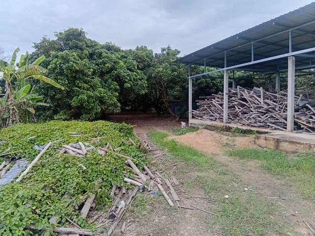 ขายที่ดินสวนลำใย​ 5ไร่98ตรว. 4.5ลบ. สาธารณูปโภคครบ พร้อมโรงเรือน ต.หนองแฝก อ.สารภี เชียงใหม่#ขายที่ดินสวนลำใย​ สาธารณูปโภคครบ พร้อมโรงเรือนต.​หนองแฝก​ อ.สารภี​ จ.เชียงใหม่ สวนลำใย ขนาด 5 ไร่ 98 ตรว.( 2,098​ ตรว.)#ขายยกแปลง​ ราคา​ 4.5​  ลบ.​ (4,500,000 บาท) โอนคนละครึ่ง พื้นที่ถนนทางเข้าสวน กว้าง 4 เมตร1. มีโรงเรือน 1 หลัง เทพื้นยกระดับความสูง 40 cm. ภายในอาคาร วางระบบท่อสำหรับห้องน้ำ 1 ห้อง 2. 