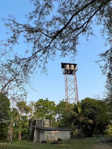 ซื้อ ขาย ที่ดิน ปากช่อง เขาใหญ่ 19ไร่ ร่มรื่น ที่สวย โคราช นครราชสีมา โทร 099-263-6615 / 085-554-9989