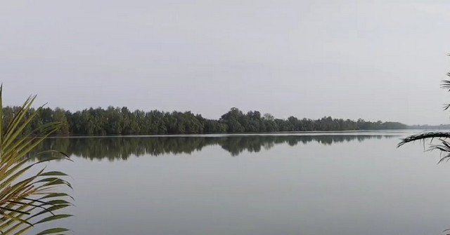 ขายที่ติดแม่น้ำบางปะกง  1  ไร่เศษ ( ขายถูกที่สุดในย่านนี้ ) ต.สนามจันทร์ อ.บ้านโพธิ์ จ.ฉะเชิงเทรา