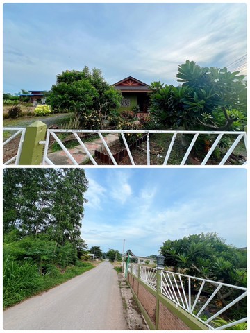 ขายบ้านเดี่ยว ชั้นเดียว พร้อมที่ดิน 1 ไร่ ตำบล หนองรี  อำเภอ ลำสนธิ  จังหวัด ลพบุรี