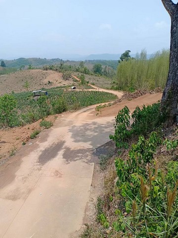 ที่ดิน ที่ดิน ต.ปอน อ.ทุ่งช้าง จ.น่าน  73400000 บ. ใกล้กับ ห่างด่านตรวจคนเข้าเมืองไทยลาวประมาณ 25 กิโลเมตร ถูกสุด